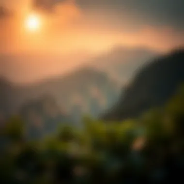 Magnificent Heikin Ashi 차트: 암호화폐 분석의 새로운 접근법