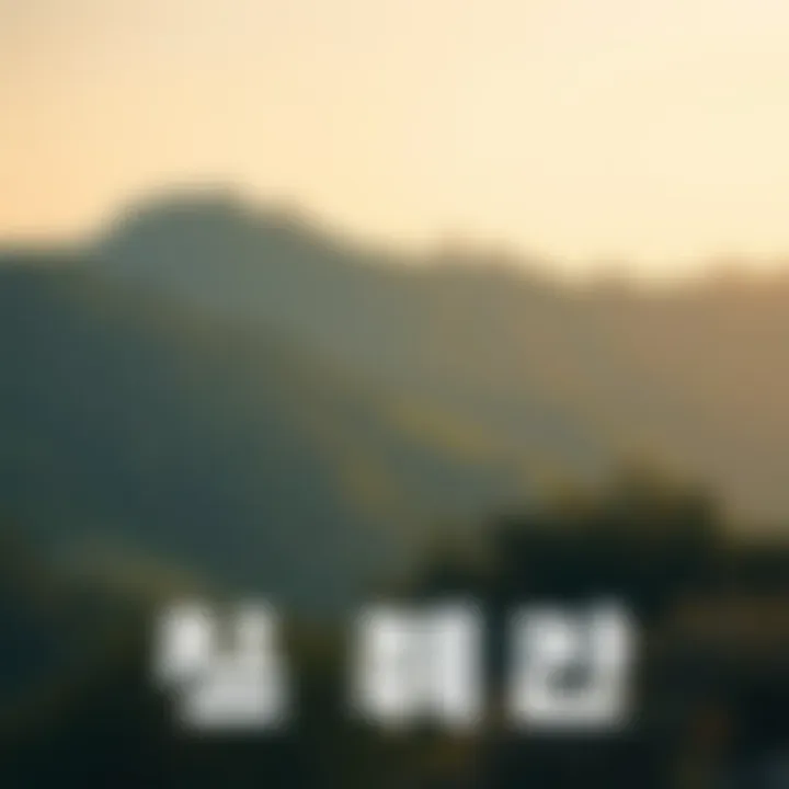 바이낸스의 심층 탐구 Summary