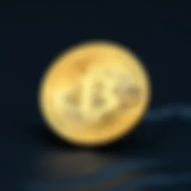 Comparison of Bitcoin Wallet Types Different types of Bitcoin wallets compared